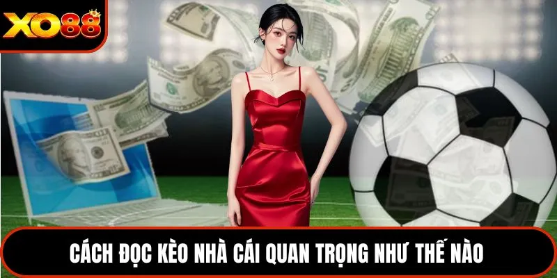Cách đọc kèo nhà cái quan trọng như thế nào