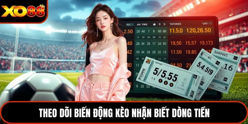 Theo dõi biến động kèo nhận biết dòng tiền